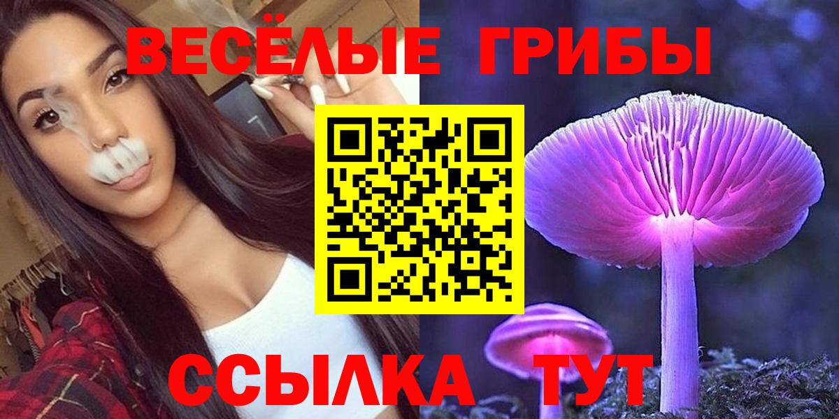 Псилоцибиновые грибы GOLDEN TEACHER Острогожск
