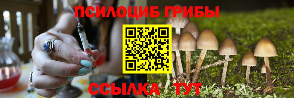где найти   Псилоцибиновые грибы Psilocybe  Вход с VPN  Острогожск  Псилоцибиновые грибы мухоморы 